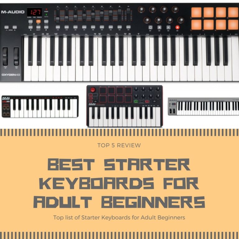 beginners adult keyboard